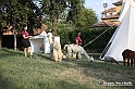 VBS_8125 - Inaugurazione 72.ma Fiera del Peperone di Carmagnola